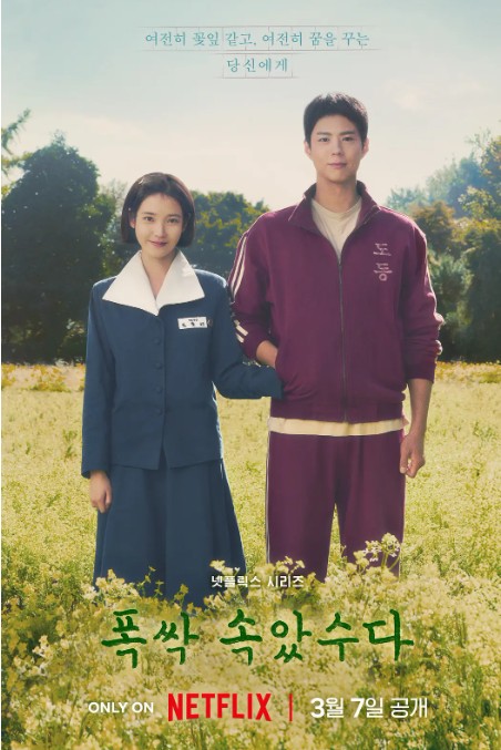 苦尽柑来遇见你 폭싹 속았수다