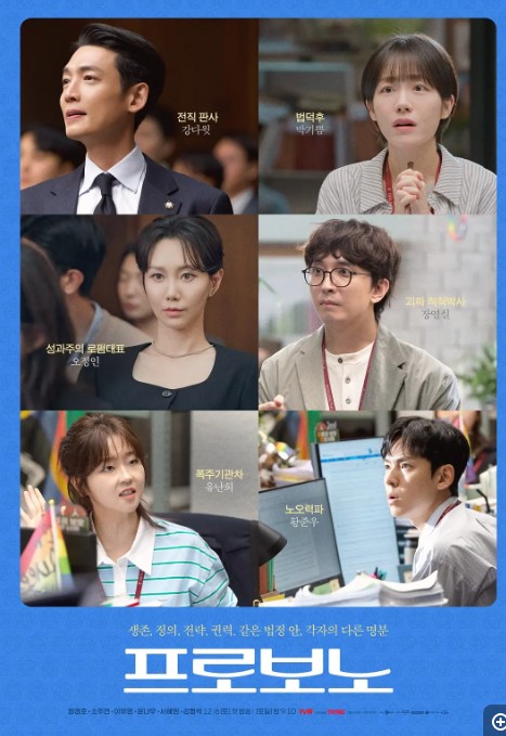 公益律师 프로보노