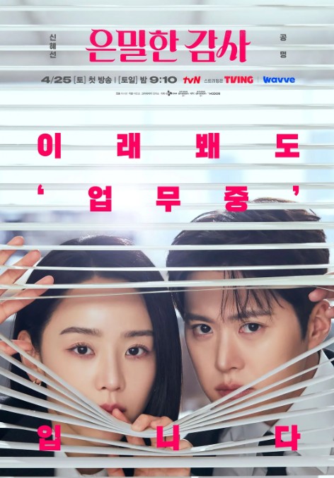 隐秘的监察 은밀한감사